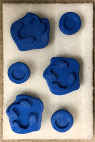 (a)	A picture shows the replicated image of (a) with 3d printed blood cells.    