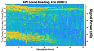 Both plots cover the same time period on the same subject. (a)A plot with the magnitude of low frequency components of the audio signal with respect to time. Each column represents a one second electrical stimulation. This plot covers sixty consecutive stimulations. The plot shows the magnitude and duration of the signal gets smaller with repeated electrical stimulation. The signal at the start of each stimulation (when the muscle flexes) gets smaller and thinner, and the signal at the end of stimulation (when the muscle relaxes) becomes undetectable all together. (b)A plot of torque with respect to time. Each column represents a one second electrical stimulation. This plot covers sixty consecutive stimulations. The plot shows that torque starts at zero, increases, and then decreases back to baseline. The muscle produces progressively less torque after repeated electrical stimulation. The onset time of torque corresponds with the initial audio signal, and the release of torque corresponds to the second audio signal. When the peak torque is low, the second audio signal is no longer visible on plot (a).